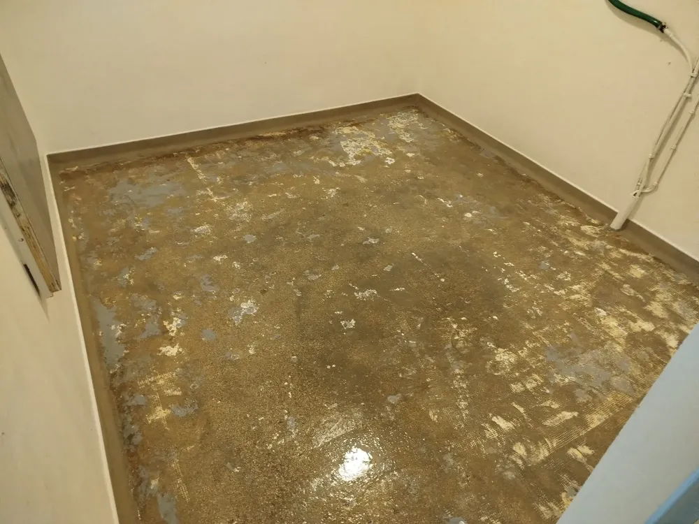 résine intérieur avanwebp